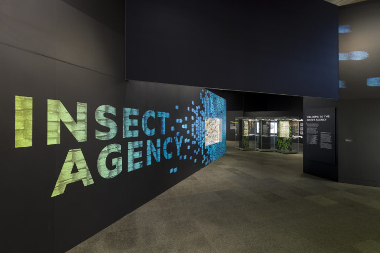 Insect Agency